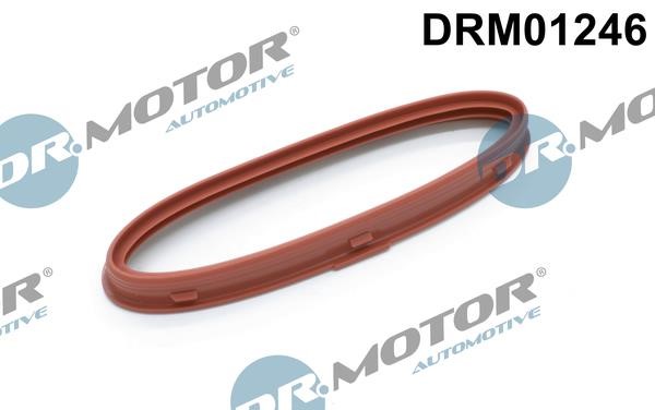 Резиновое кольцо Mercedes R-Class (Мерседес Р Класс): DRM01246 Dr.Motor Кольцо уплотнительное