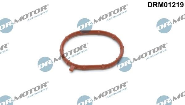DRM01219 Dr.Motor Уплотнительное кольцо, компрессор