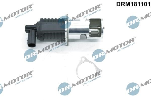 Dr.Motor DRM181101 Клапан рециркуляції відпрацьованих газів EGR DRM181101: Купити в Україні - Добра ціна на EXIST.UA!