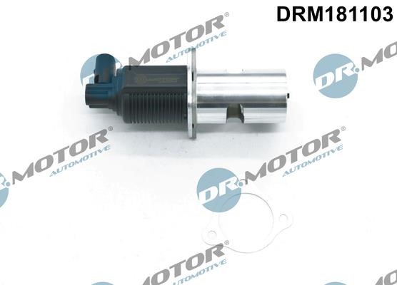 Dr.Motor DRM181103 Клапан рециркуляції відпрацьованих газів EGR DRM181103: Купити в Україні - Добра ціна на EXIST.UA!