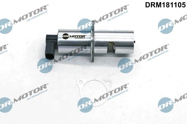 Dr.Motor DRM181105 Клапан рециркуляції відпрацьованих газів EGR DRM181105: Купити в Україні - Добра ціна на EXIST.UA!