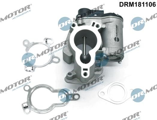Dr.Motor DRM181106 Клапан рециркуляції відпрацьованих газів EGR DRM181106: Купити в Україні - Добра ціна на EXIST.UA!