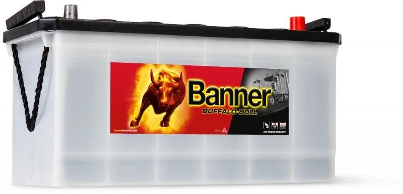 Banner 60026 Акумулятор Banner Buffalo Bull 12В 100Ач 600А(EN) R+ 60026: Купити в Україні - Добра ціна на EXIST.UA!