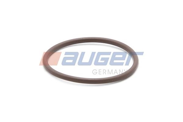 Auger 91194 Ущільнювальне кільце, корпус форсунки 91194: Купити в Україні - Добра ціна на EXIST.UA!