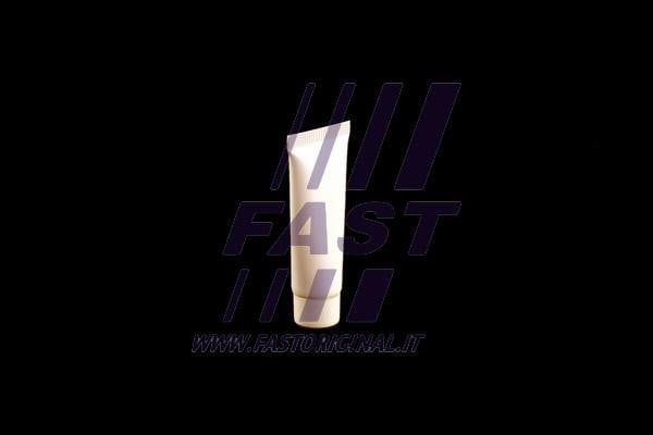 Fast FT32297 Мастило FT32297: Приваблива ціна - Купити в Україні на EXIST.UA!
