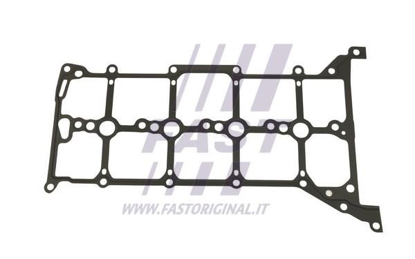 Прокладка під клапанну кришку Ford S-Max (Форд Ес-Макс): FT49014 Fast Прокладка клапанної кришки
