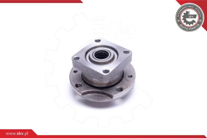 Подшипник ступицы колеса, комплект Esen SKV 29SKV455