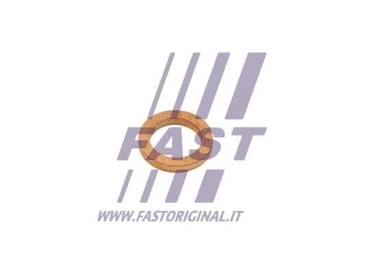 Fast FT48802 Прокладка турбіни FT48802: Купити в Україні - Добра ціна на EXIST.UA!