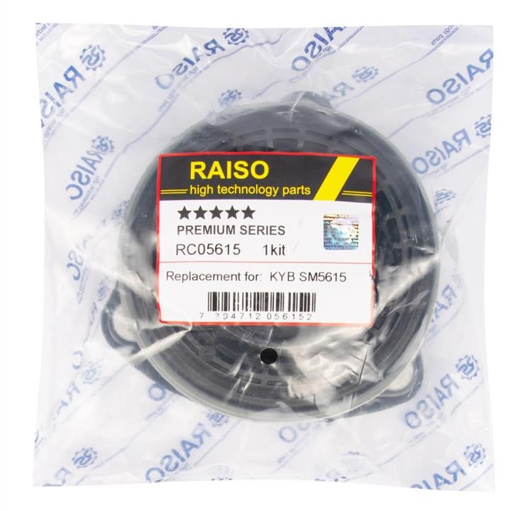 Купити RAISO RC05615 за низькою ціною в Україні!