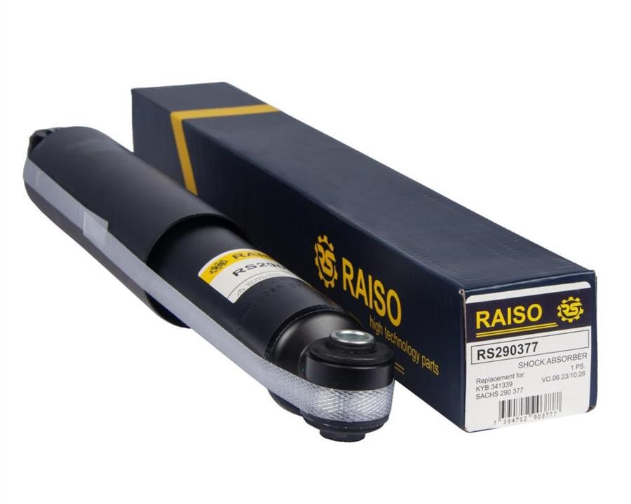 Купити RAISO RS290377 за низькою ціною в Україні!
