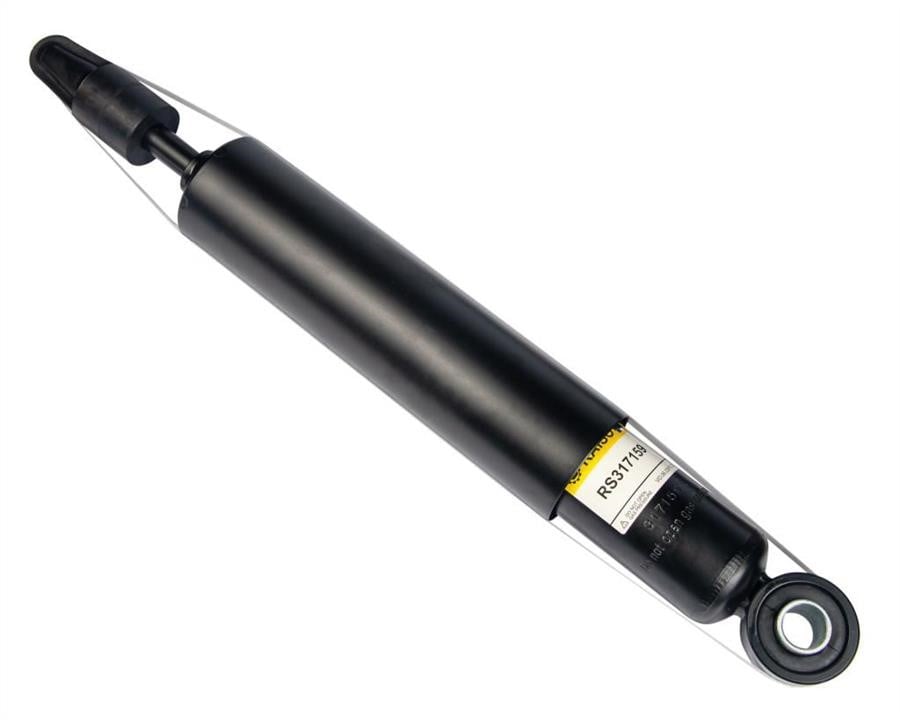 Купити RAISO RS317159 за низькою ціною в Україні!