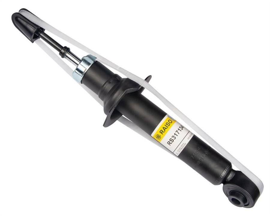 Купити RAISO RS317134 за низькою ціною в Україні!