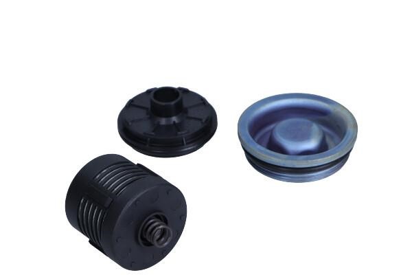 DS120456 BorgWarner (AWD) Гідравлічний фільтр, багатодискове зчеплення повного привода