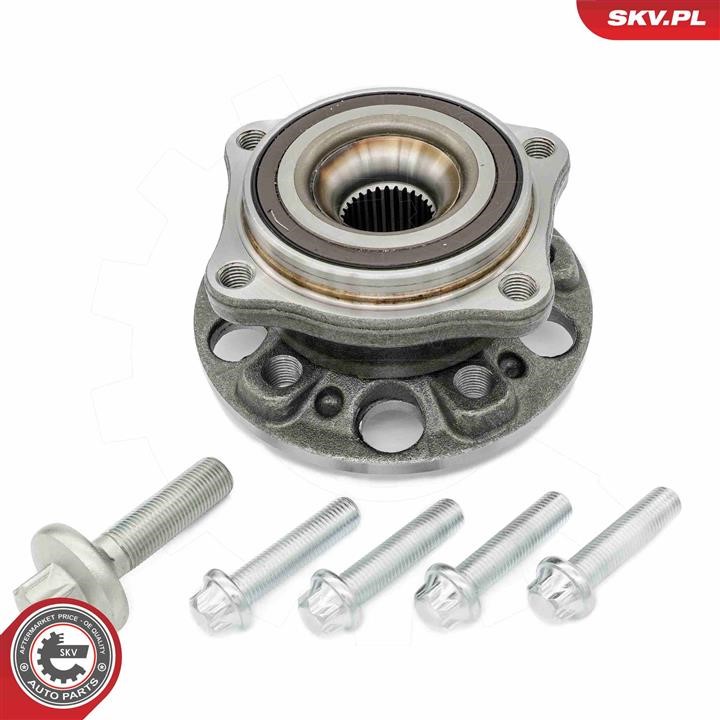 Підшипник ступиці колеса, комплект Esen SKV 29SKV623
