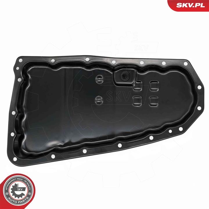 Купить Esen SKV 48SKV875 – отличная цена на EXIST.UA!
