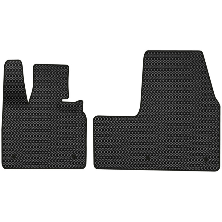 BM23463AV2BW4RBB EVAtech Килимки в салон EVAtech передні для BMW I3s 2017+ 1 покоління, хетчбек EU