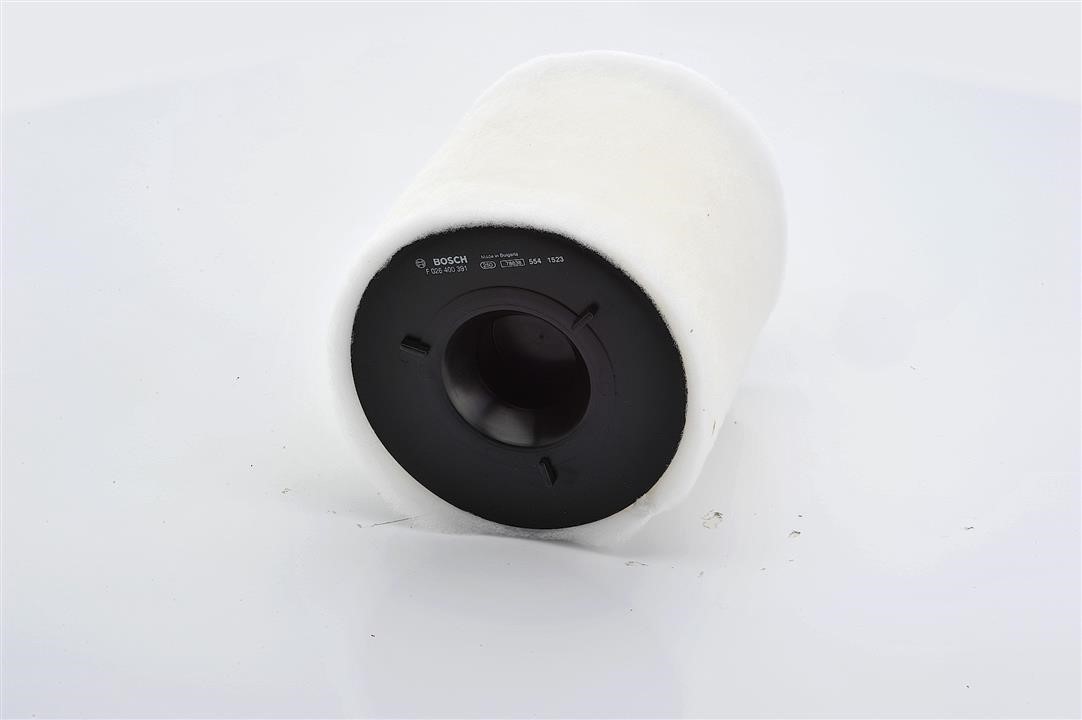 Купить Bosch F026400391 – отличная цена на EXIST.UA!