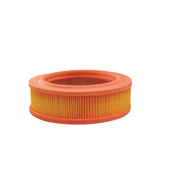 AR219 Filtron Воздушный фильтр