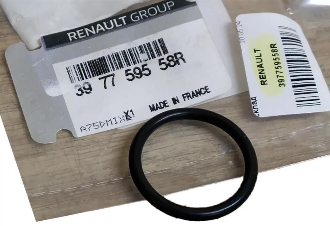 Купити Renault 39 77 595 58R за низькою ціною в Україні!