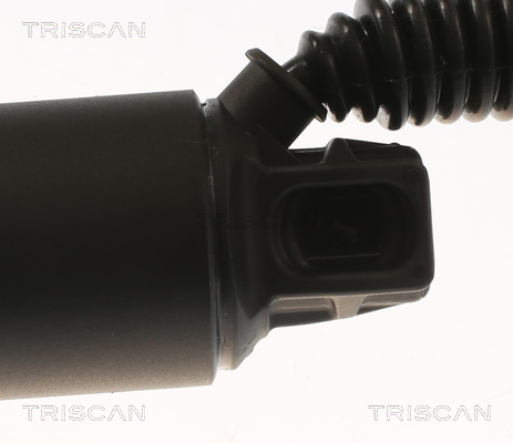Амортизатор багажника Triscan 8710 29312