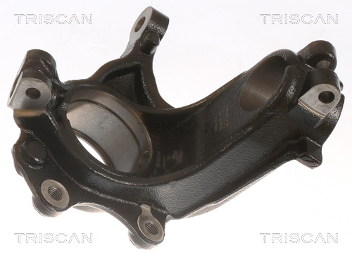 Кулак поворотний Triscan 8500 28703
