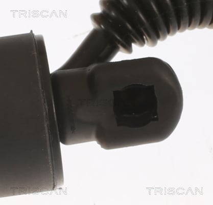 Купити Triscan 871029306 – суперціна на EXIST.UA!
