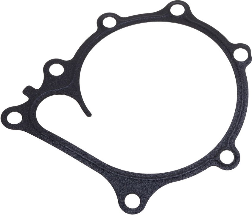 251244X950 Hyundai/Kia Прокладка насоса охлаждающей жидкости