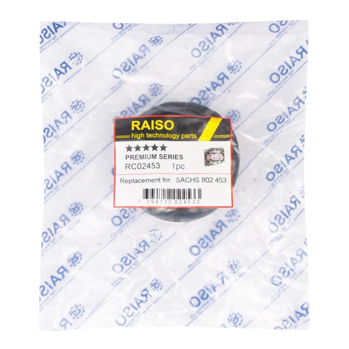 Купить RAISO RC02453 по низкой цене в Украине!
