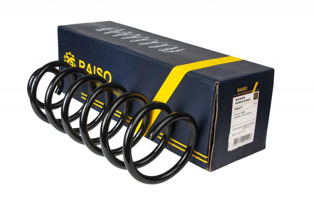 Купити RAISO SR040TP за низькою ціною в Україні!