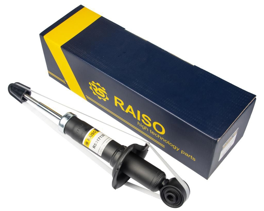 Купити RAISO RS317138 за низькою ціною в Україні!
