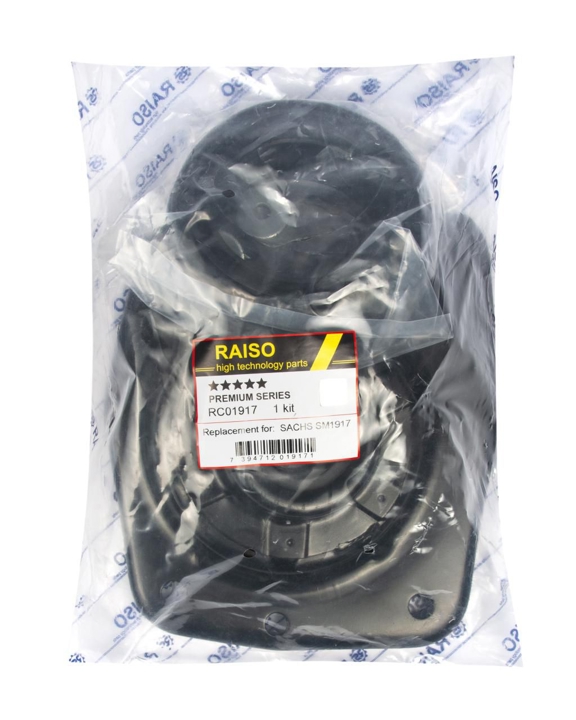 Купить RAISO RC01917 по низкой цене в Украине!