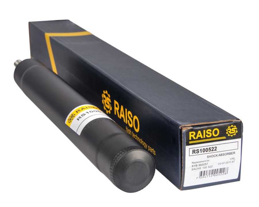Купити RAISO RS100522 за низькою ціною в Україні!