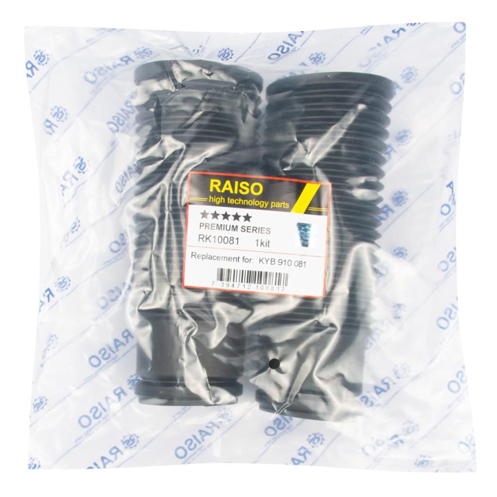 Купити RAISO RK10081 за низькою ціною в Україні!