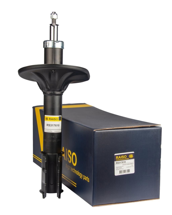 Купити RAISO RS317610 за низькою ціною в Україні!