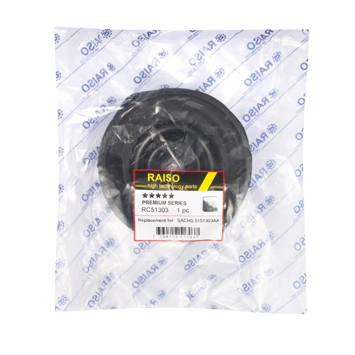 Купити RAISO RC51303 за низькою ціною в Україні!