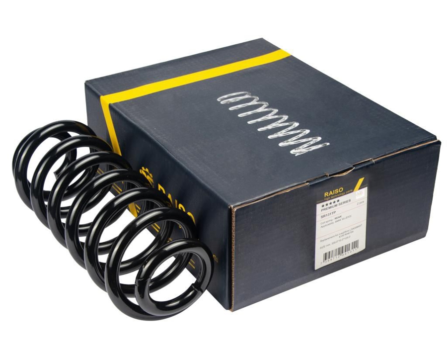 Купить RAISO SR131TP по низкой цене в Украине!