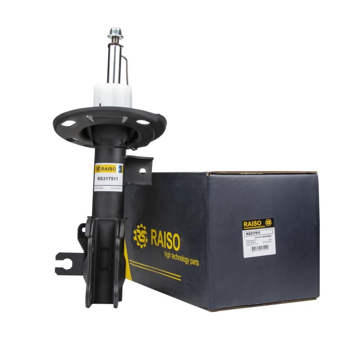 Купити RAISO RS317511 за низькою ціною в Україні!