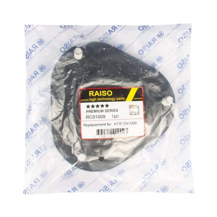 Купить RAISO RC01009 по низкой цене в Украине!