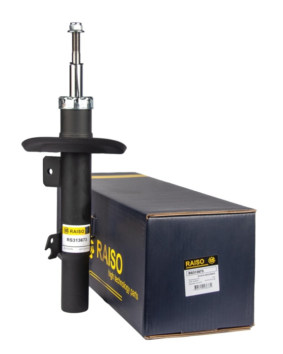 Купити RAISO RS313673 за низькою ціною в Україні!