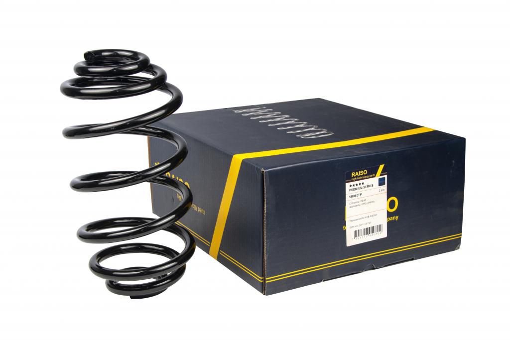 Купити RAISO SR080TP за низькою ціною в Україні!