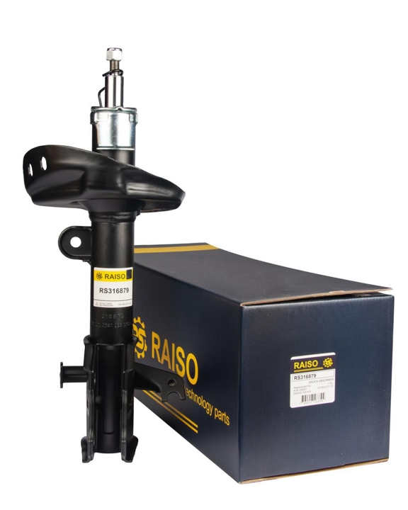 Купити RAISO RS316879 за низькою ціною в Україні!