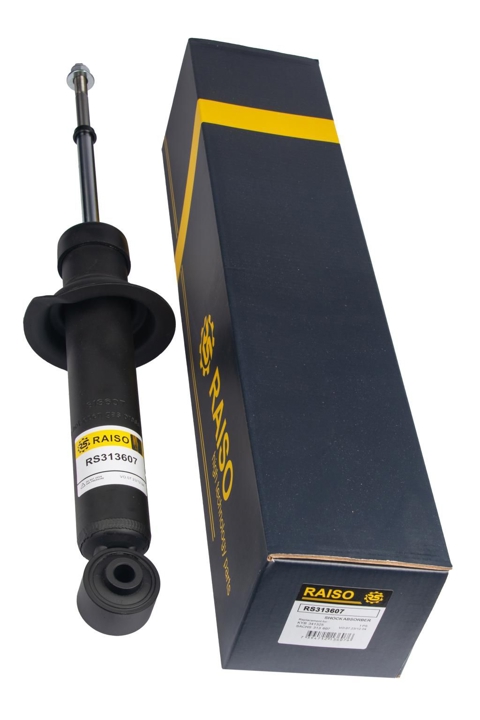 Купити RAISO RS313607 за низькою ціною в Україні!
