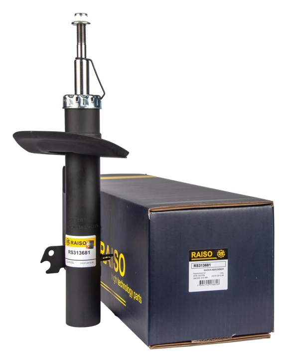 Купити RAISO RS313681 за низькою ціною в Україні!