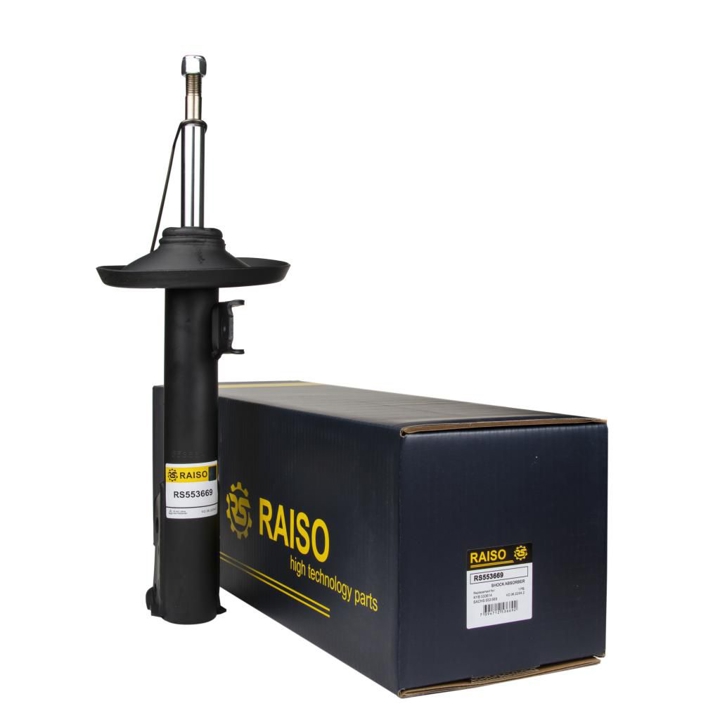 Купити RAISO RS553669 за низькою ціною в Україні!
