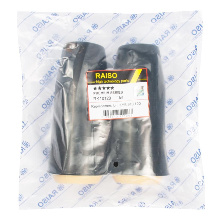 Купити RAISO RK10120 за низькою ціною в Україні!