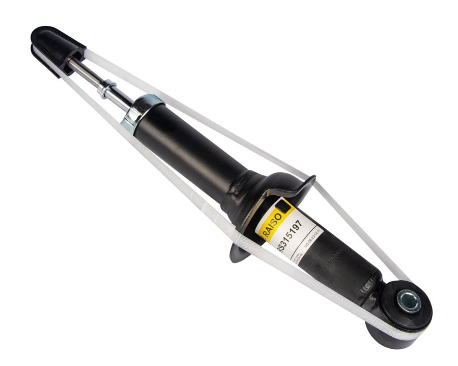Купити RAISO RS315197 за низькою ціною в Україні!