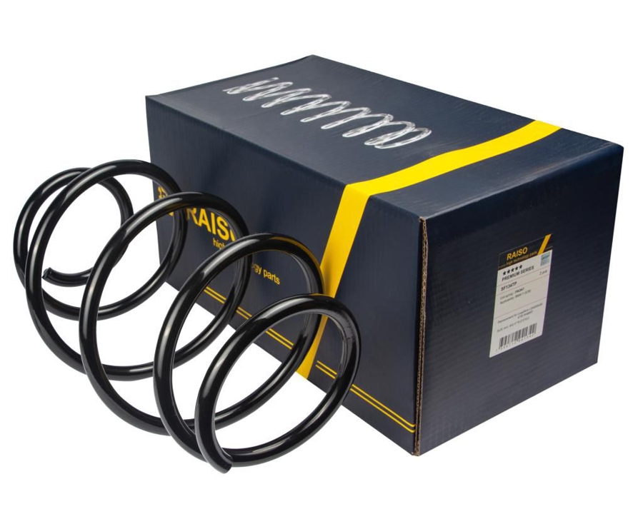 Купити RAISO SF134TP за низькою ціною в Україні!