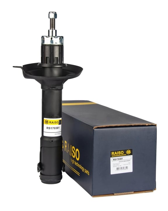 Купити RAISO RS170381 за низькою ціною в Україні!