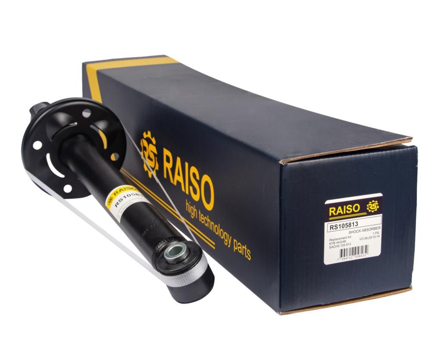 Купити RAISO RS105813 за низькою ціною в Україні!