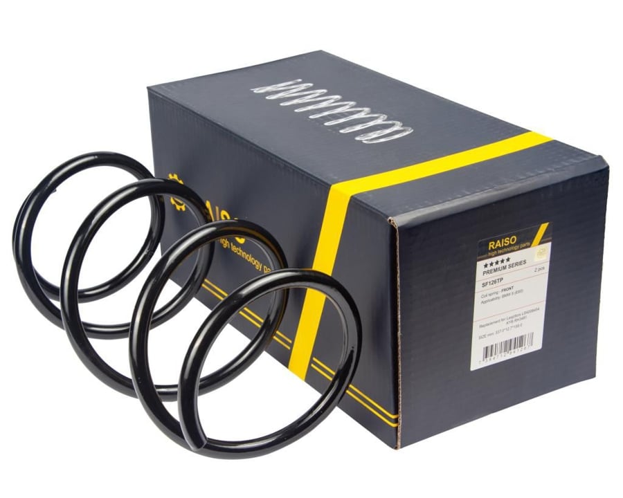 Купити RAISO SF126TP за низькою ціною в Україні!
